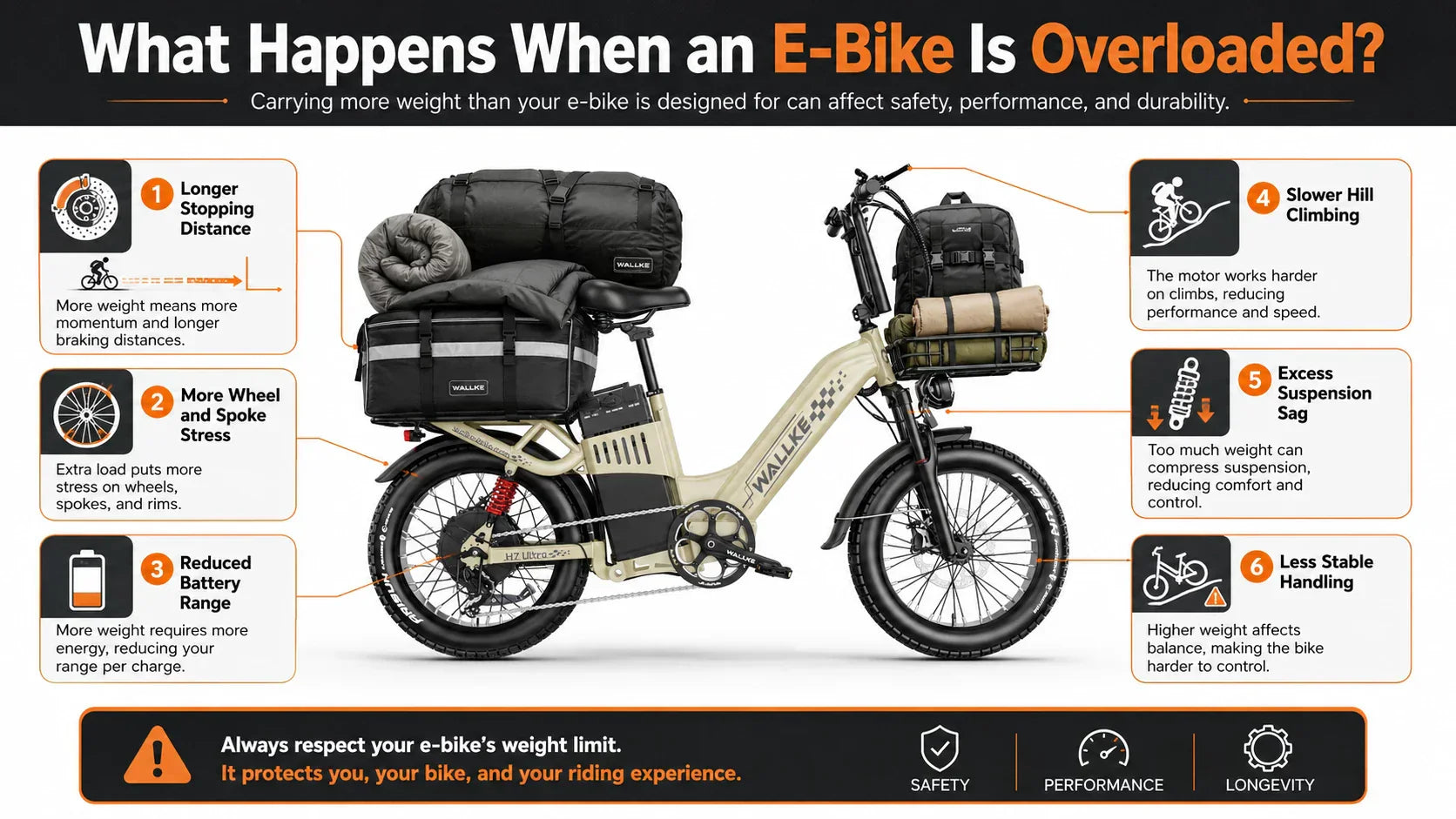 Electric Bike Weight Limit: A Practical Guide to Payload Capacity
