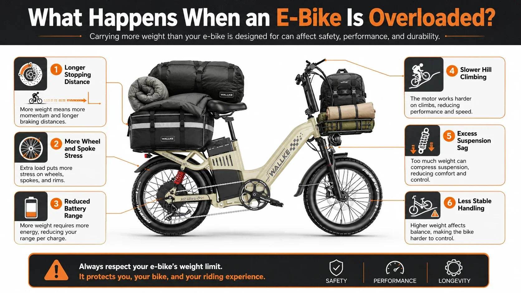 Electric Bike Weight Limit: A Practical Guide to Payload Capacity