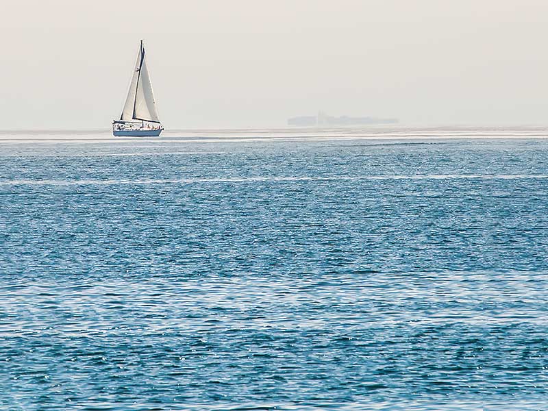 Pre-order Shipping status - 08/09