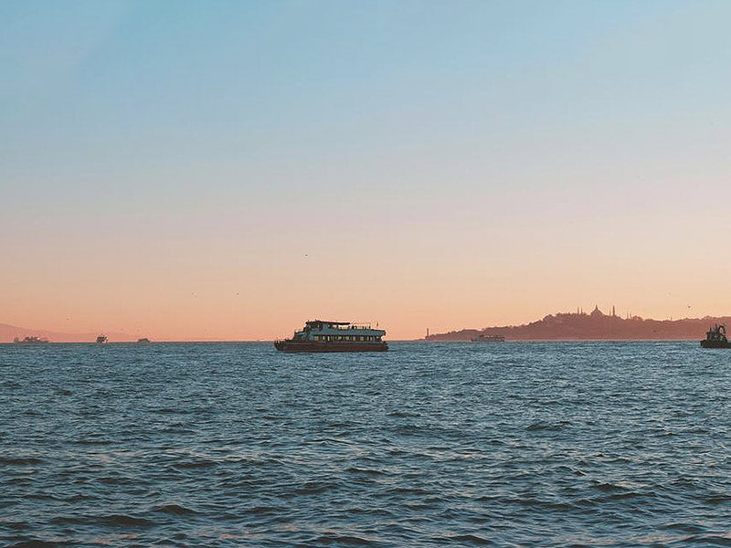 Pre-order Shipping status - 07/29