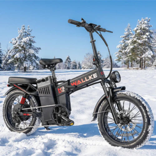 2026 WALLKE Off-grid PowerStorage E-Bike
