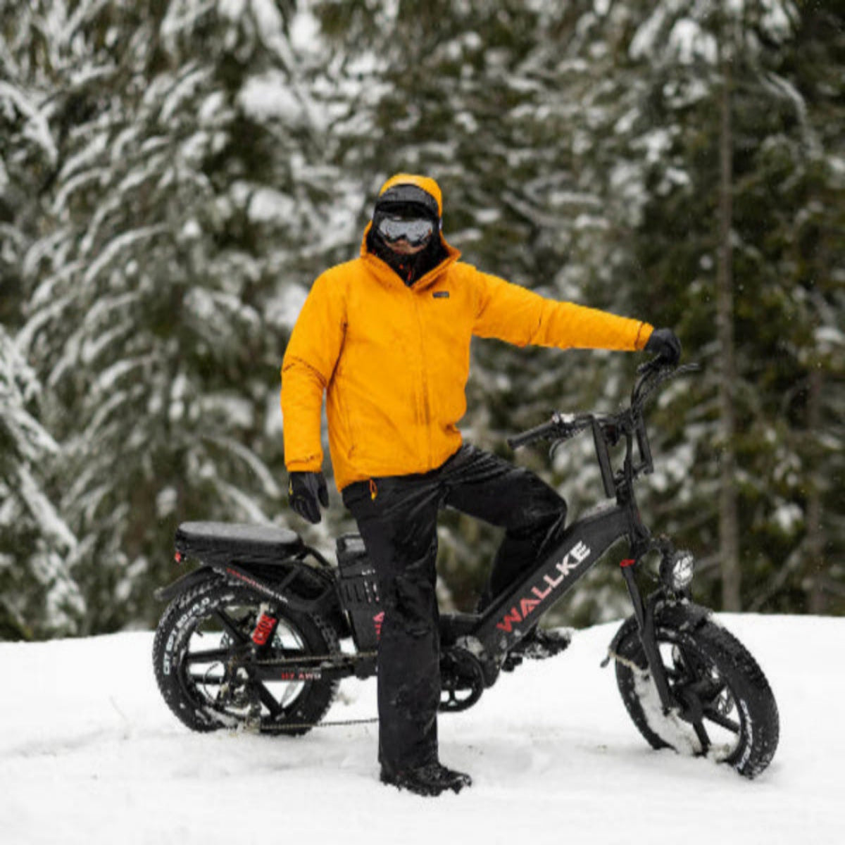2025-Wallke-H7-AWD-Ebike