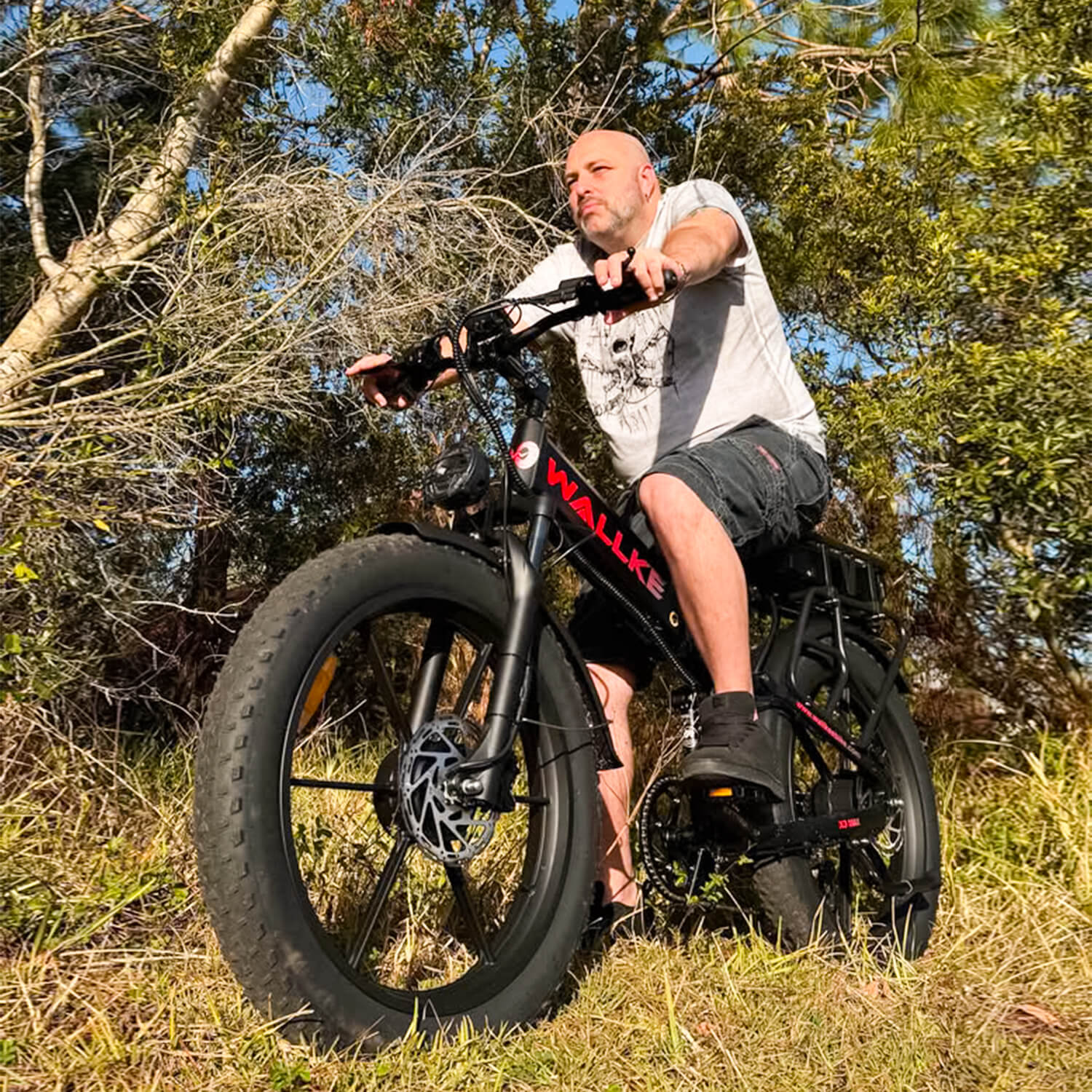 2025-Wallke-X3-Pro-Max-Ebike