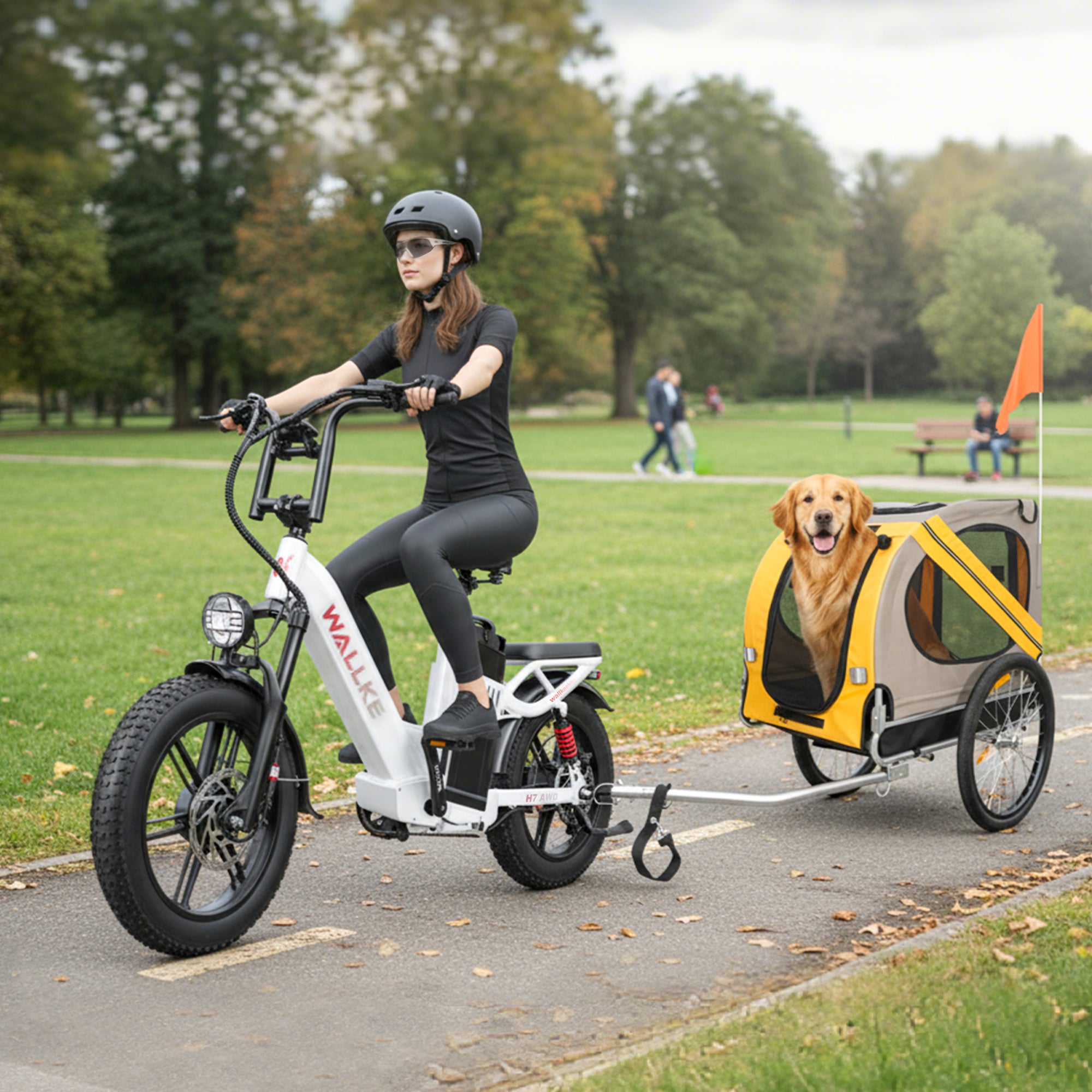 2025 Wallke H7 Step-Thru | 3200W Ebike 40/60Ah Battery