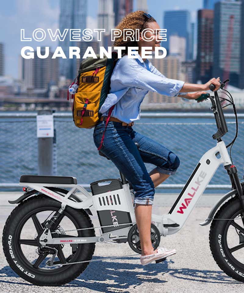 Lowest-Price-Guaranteed-h6st