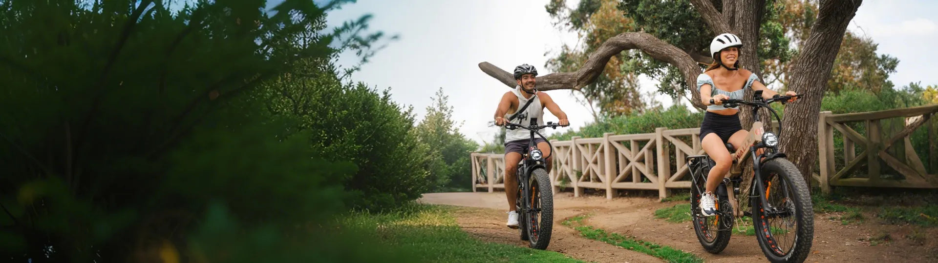 WALLKE All E-Bike