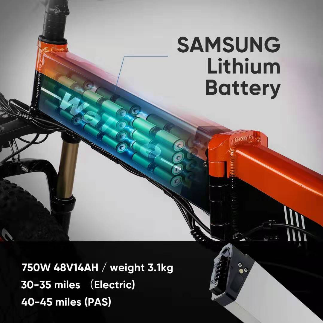 Wallke X3-battery