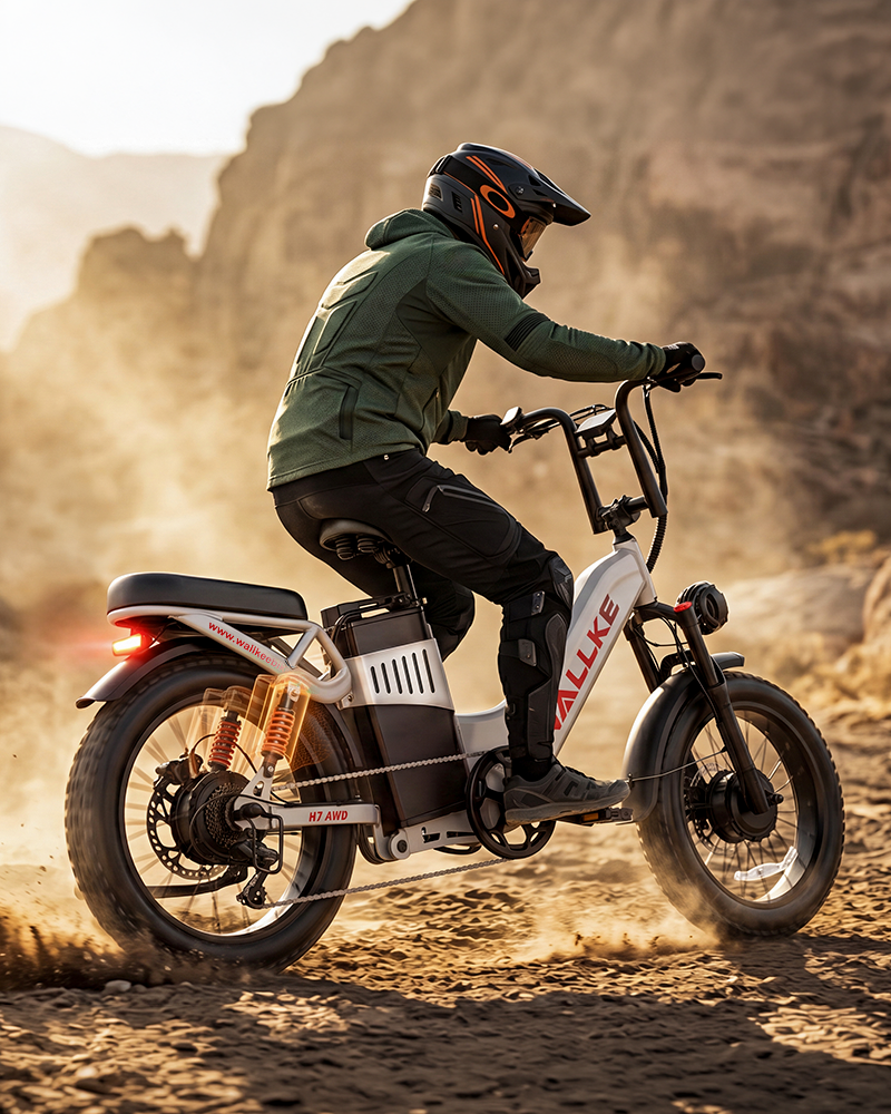 Best E-Bike for Sand: How to Choose a Fat Tire Electric Bike for Beach Riding