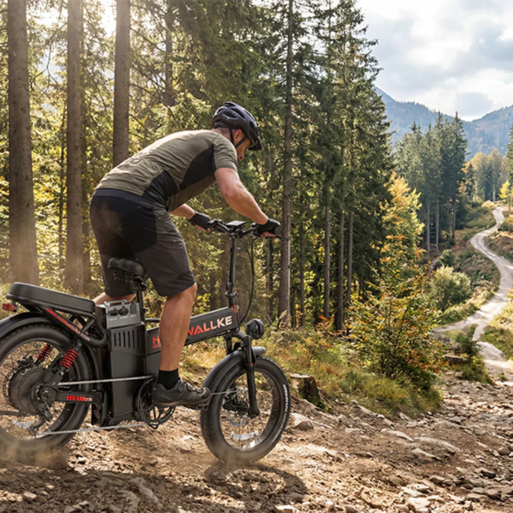 How to Choose the Best Mountain Electric Bike for You?
