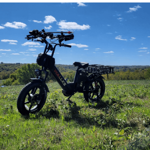 Folding Fat Tire Ebike Comparison: Wallke H9 AWD VS G-force T7