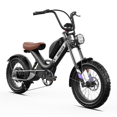 WALLKE Titan X1 Carbon Fiber Frame | 3800W Cruiser Ebike