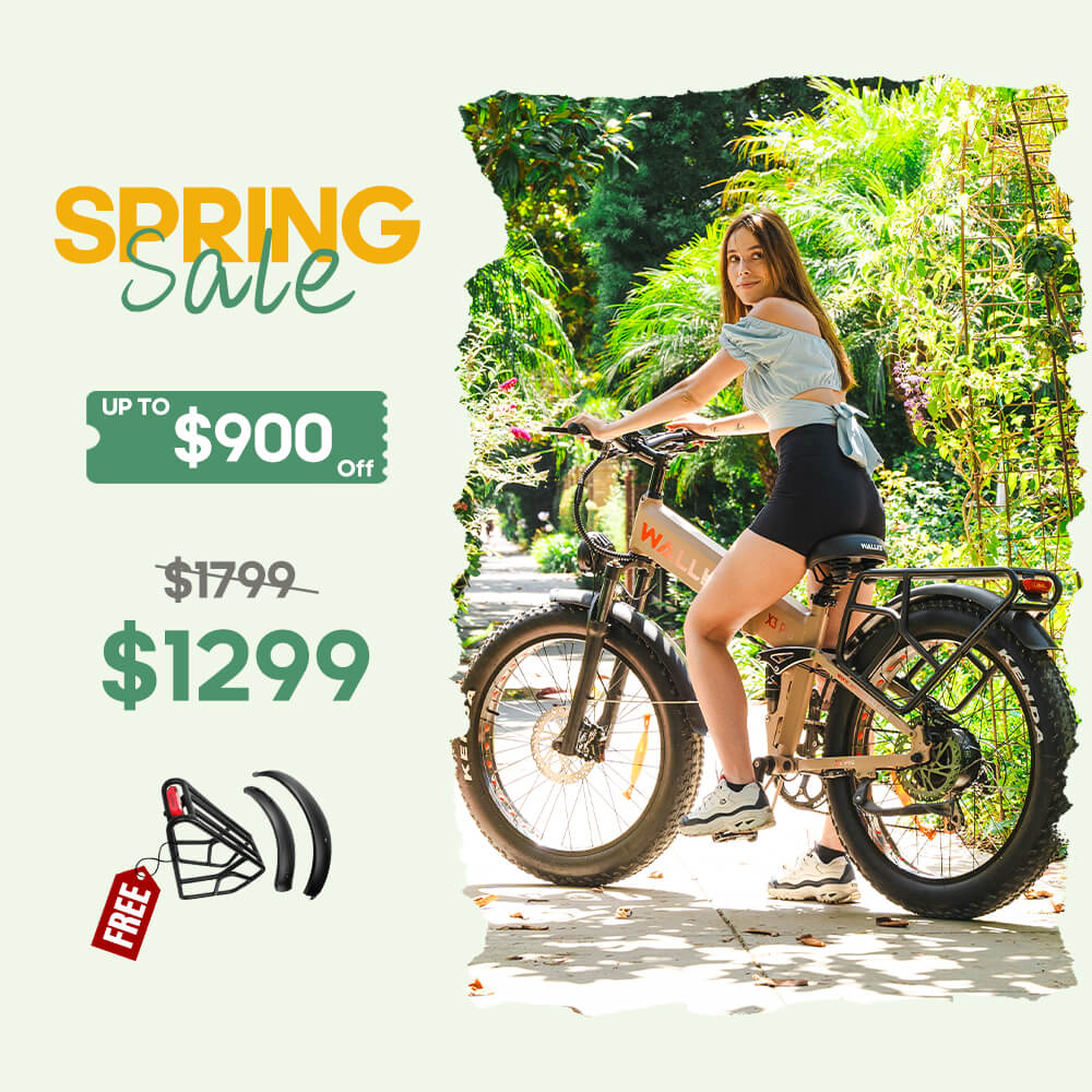 2025-Spring-Sale-X3-Pro-bike