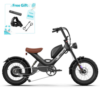 WALLKE Titan X1 Carbon Fiber Frame | 3800W Cruiser Ebike