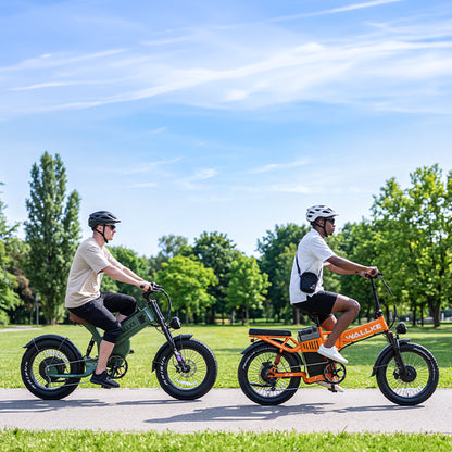 2026 WALLKE H9 Ultra AWD Folding | Off-Grid Power Station E-Bike with Torque Sensor, 37mph Speed, 55/77Ah Battery Options