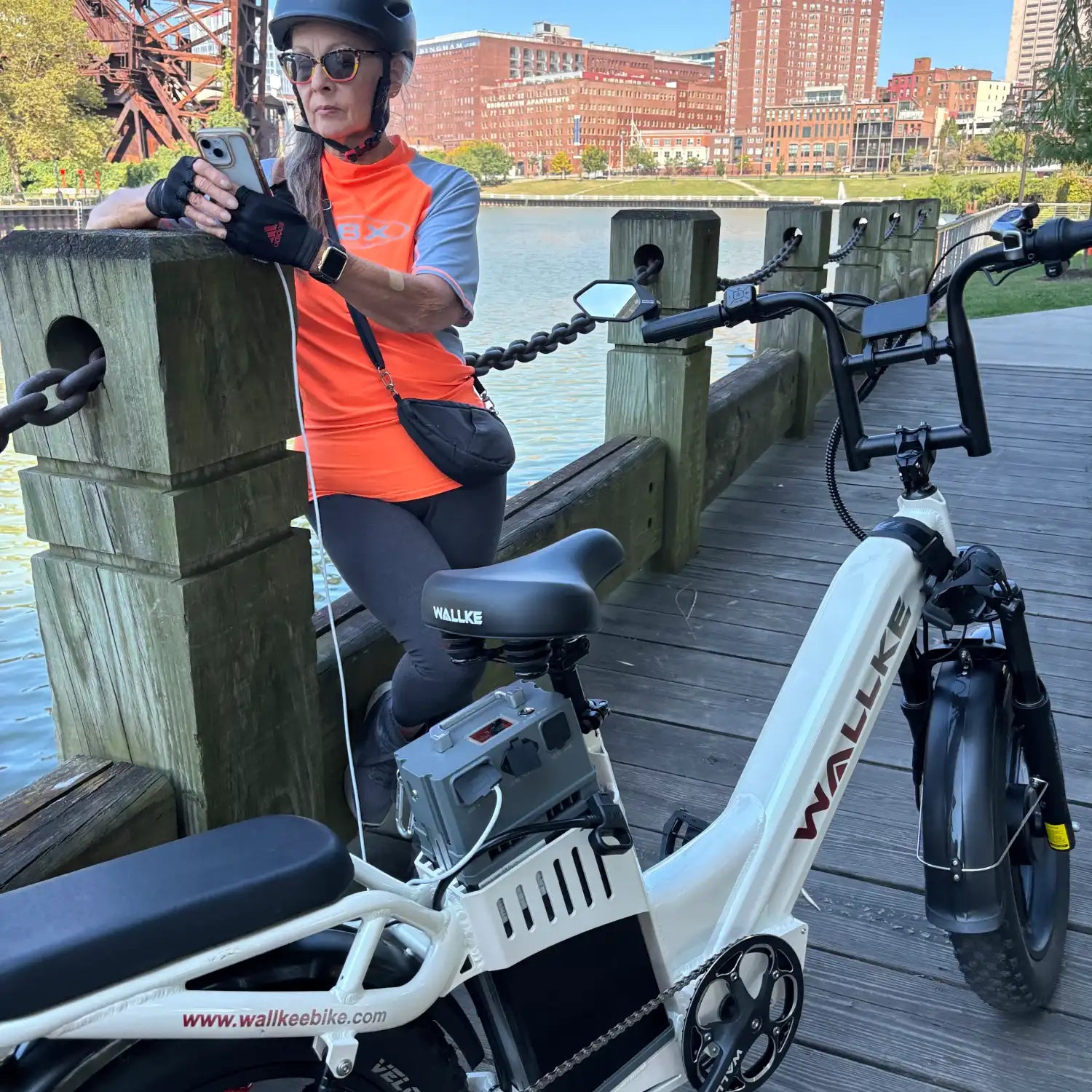 Energy Storage Battery