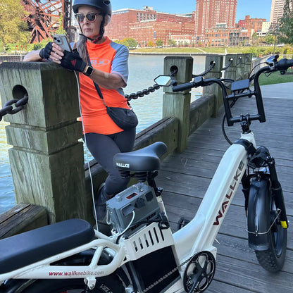 Energy Storage Battery