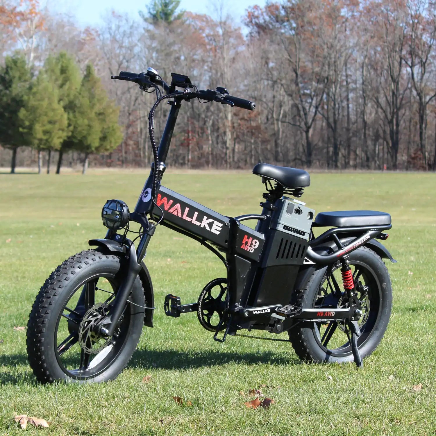 Energy Storage Battery