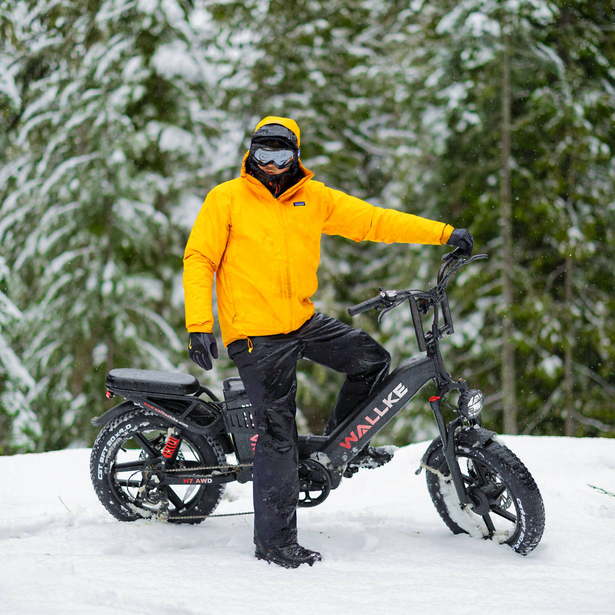 Wallke H7 Step-thru Ebike (Canada Only)