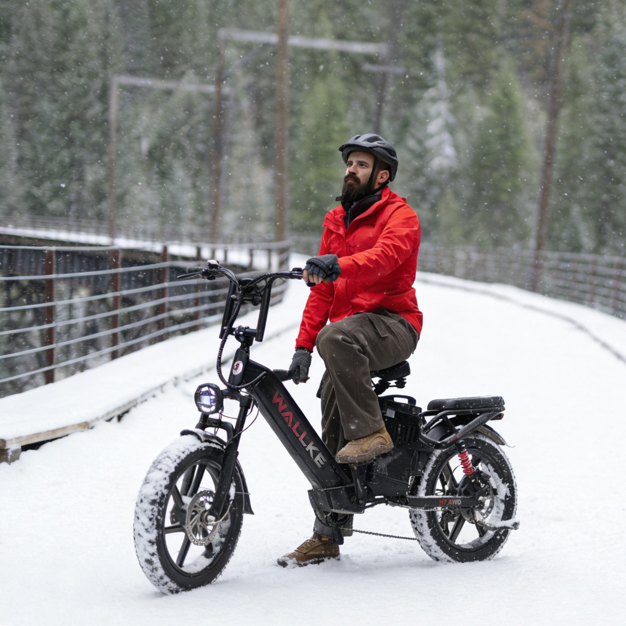 Wallke H7 Step-Thru Dual Motor E-Bike | Easy Access, Big Power