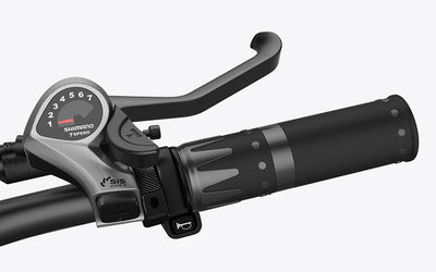 Accélérateur Wallke eBike