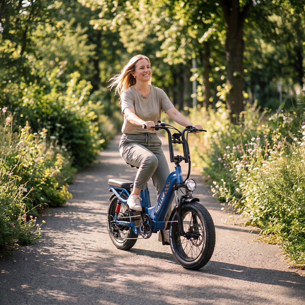 WALLKE H7 Series | AWD Step-Thru 3200W Ebike 40/55Ah Battery