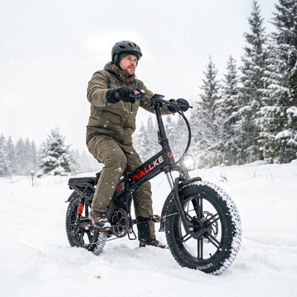 Wallke H9 AWD Ebike (Canada Only)