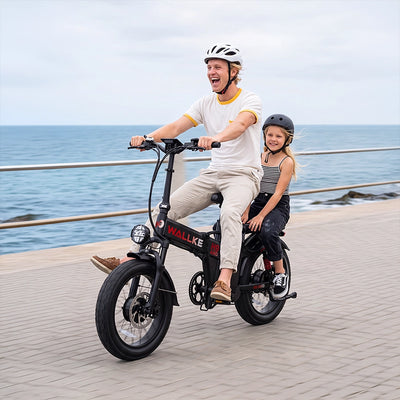 WALLKE H9 Series | AWD Folding Off-Grid Power Station E-Bike with Torque Sensor, 37mph Speed, 55/77Ah Battery Options
