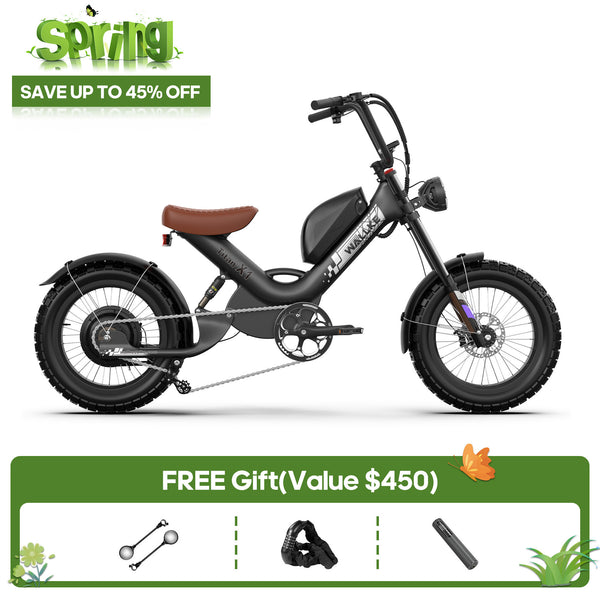 WALLKE Titan X1 Carbon Fiber Frame | 3800W Cruiser Ebike