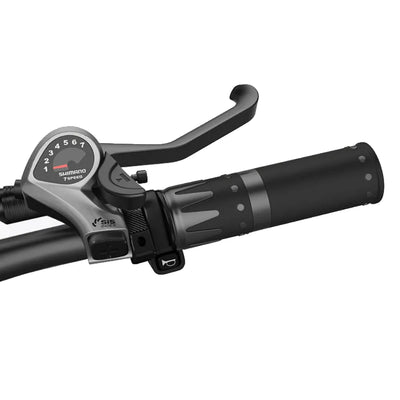 Accélérateur Wallke eBike