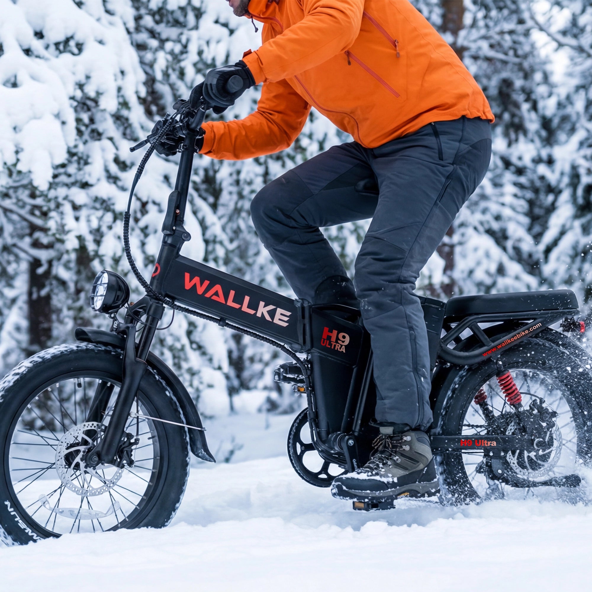 Wallke Ebike Tire