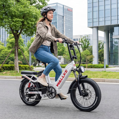 Wallke Ebike Tire