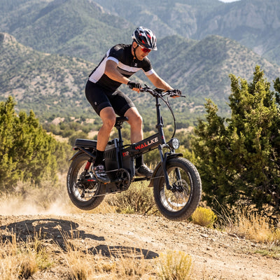 Wallke Ebike Tire