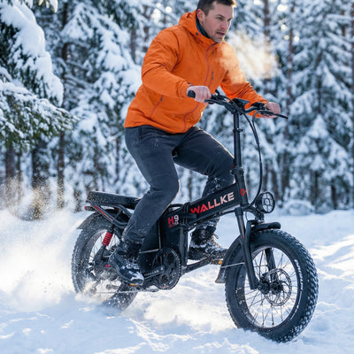 Wallke Ebike Tire