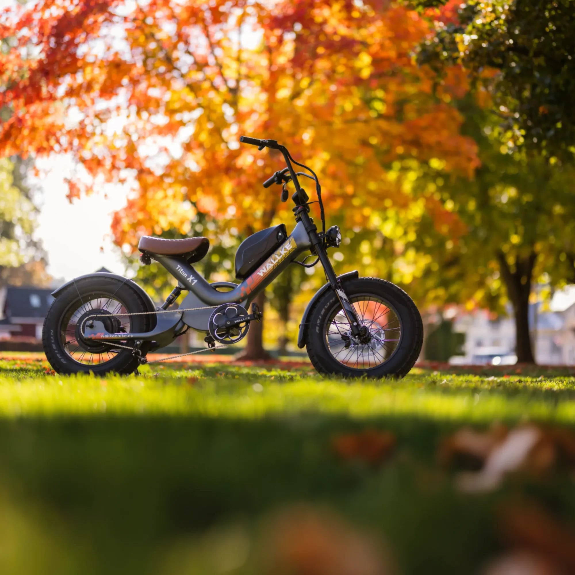 WALLKE Titan X1 Carbon Fiber Frame | 3800W Cruiser Ebike