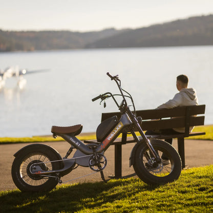 WALLKE Titan X1 Carbon Fiber Frame | 3800W Cruiser Ebike