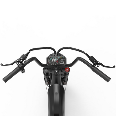 Wallke Ebike Display