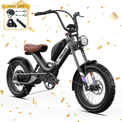 WALLKE Titan X1 Carbon Fiber Frame | 3800W Cruiser Ebike