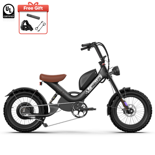 WALLKE Titan X1 Carbon Fiber Frame | 3800W Cruiser Ebike
