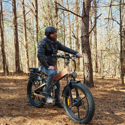 2025 Wallke X3 Pro Max | 2800W Folding Ebike