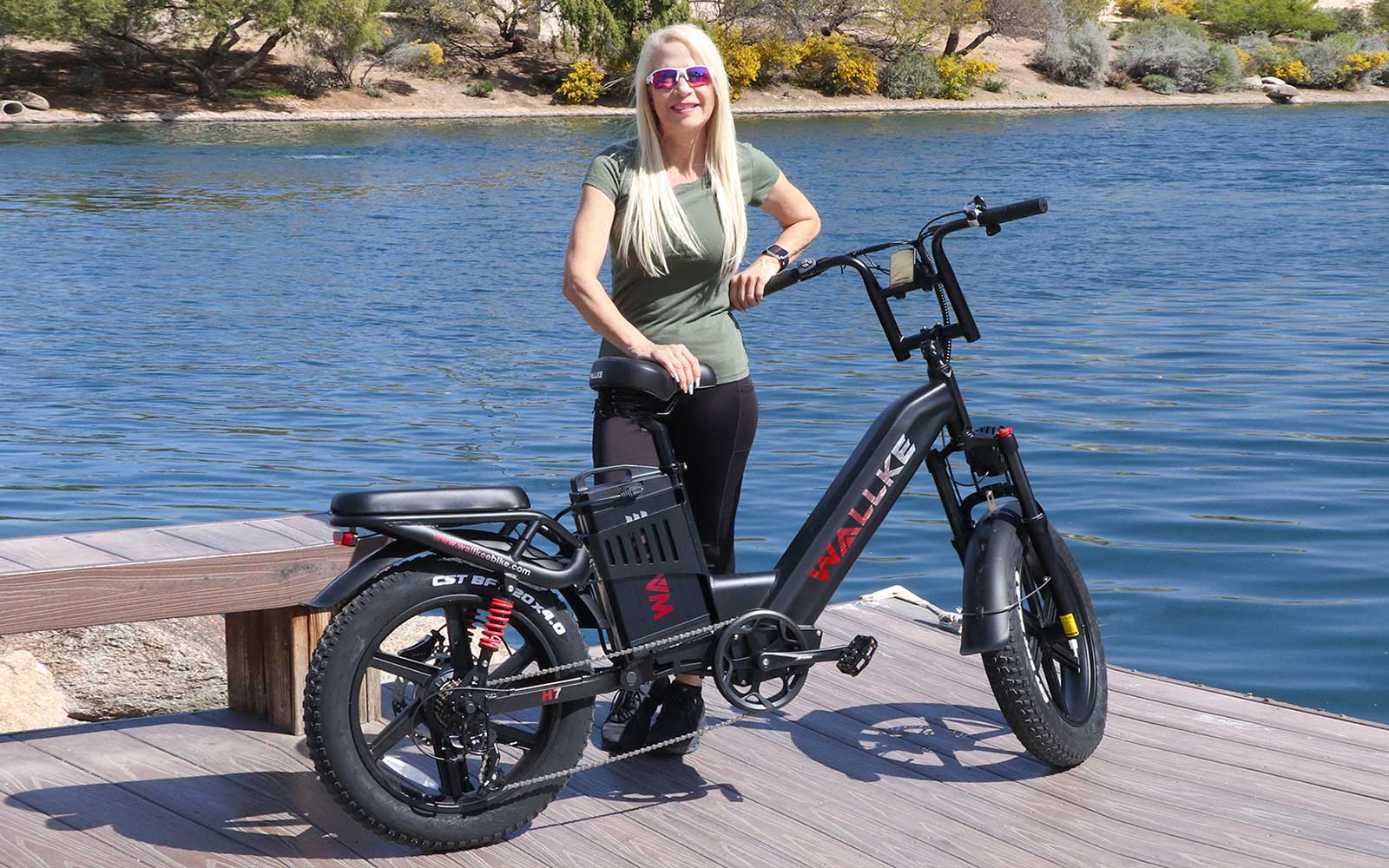 all-ebikes-collection-05