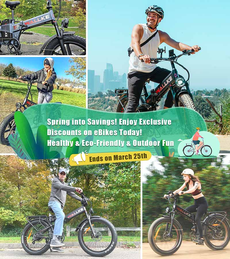 Electric bicycle best sale online shopping