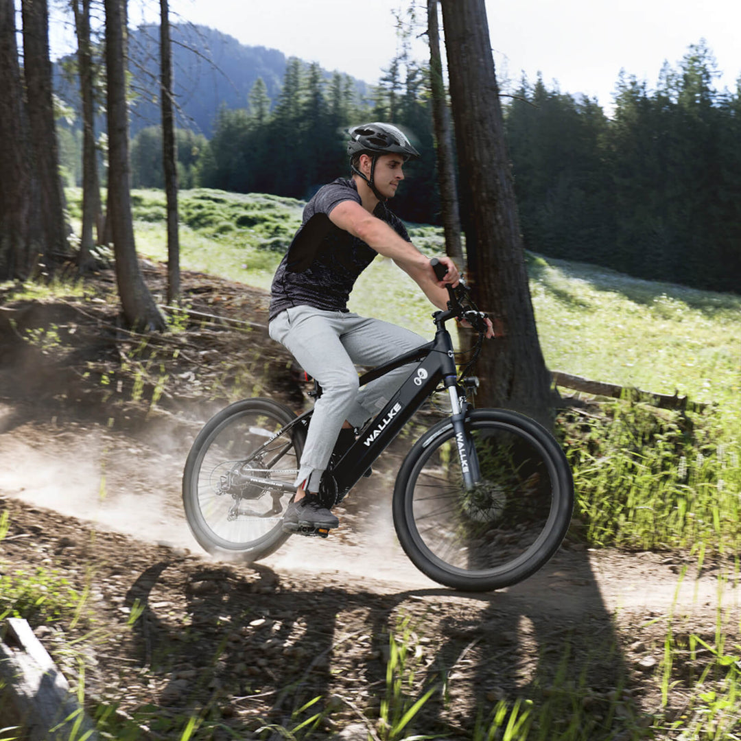 Wallke e-biek h1 is the king of e-bikes - with long range and hill climbing capabilities